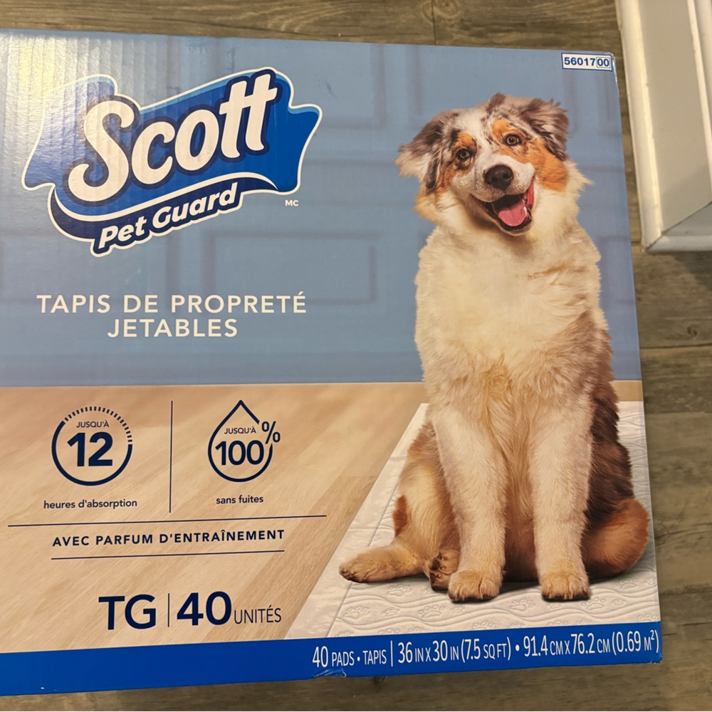 Scott Pet Guard Training Pads - Blue and White